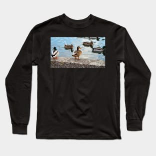 Female Mallard Duck Standing By The Pond Long Sleeve T-Shirt